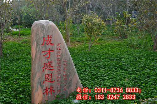 石家莊冀聯醫學院校園