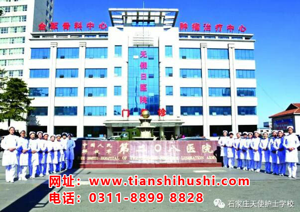 石家莊天使護士學(xué)校哪個地區(qū)的學(xué)生多