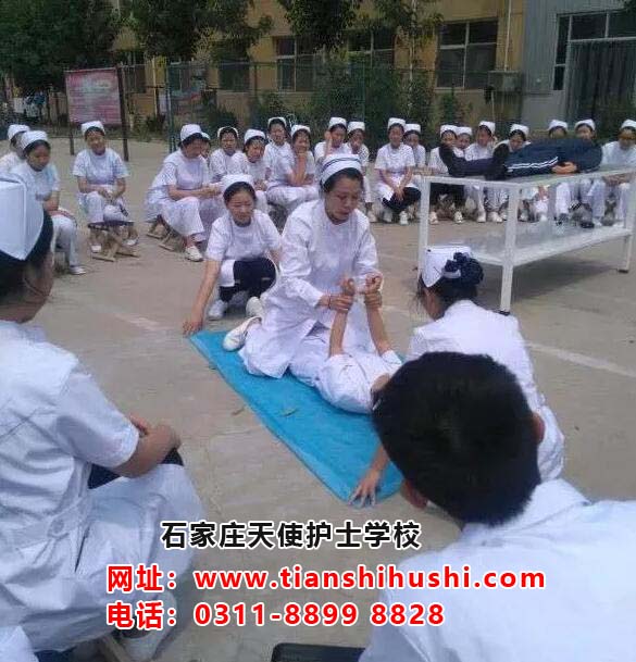 石家莊天使護士學(xué)校可以報讀臨床醫(yī)學(xué)專業(yè)嗎