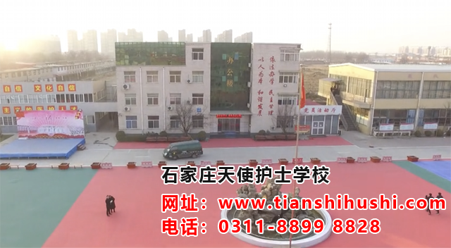 石家莊天使護士學校好不好|怎么樣