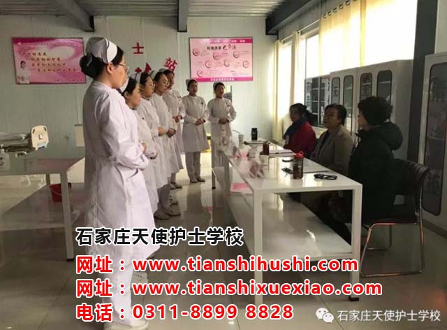 初三考石家莊天使護士學校大概需要多少分