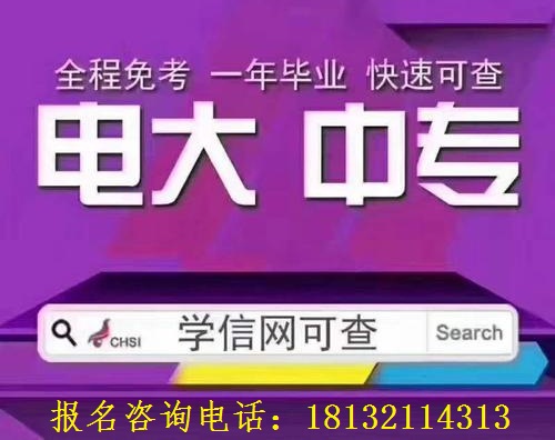 電大一年制中專可以報考大專嗎?
