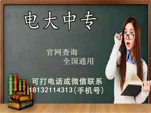 電大中專一年制能報電子商務嗎
