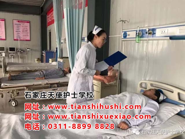 石家莊天使護(hù)士學(xué)校報(bào)名錄取條件