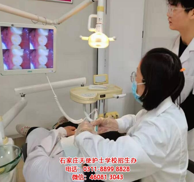 石家莊天使護士學校2024春季口腔專業招生要求