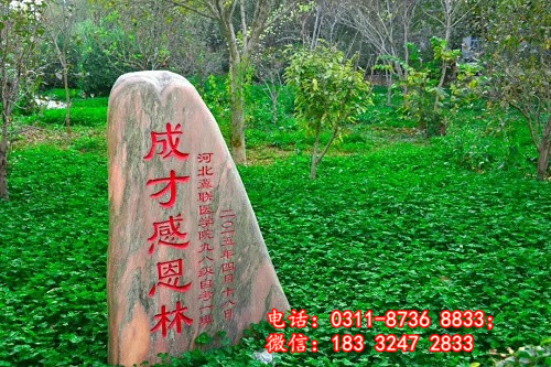 石家莊冀聯醫學院哪些專業能升學？