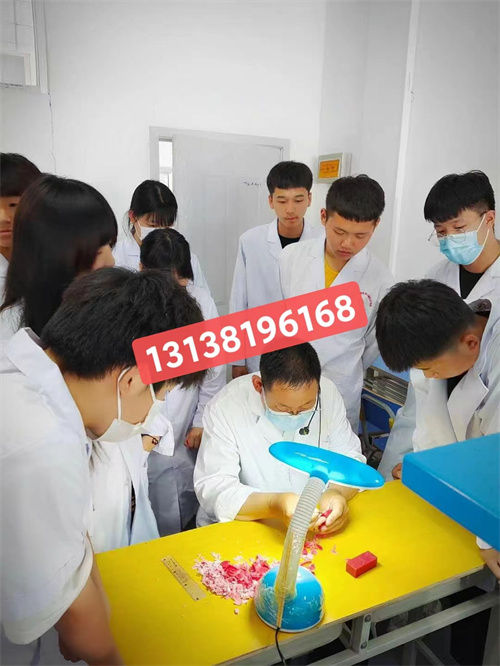 石家莊白求恩醫(yī)學(xué)中專學(xué)校招生對象