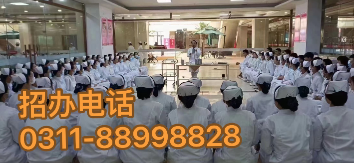 開啟醫(yī)護之路，2024年春季石家莊天使護士學校招生簡章