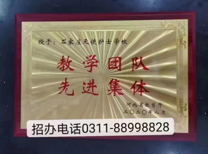 開啟醫(yī)護(hù)人生新篇章！2024年石家莊天使護(hù)士學(xué)校招生簡(jiǎn)章公布！