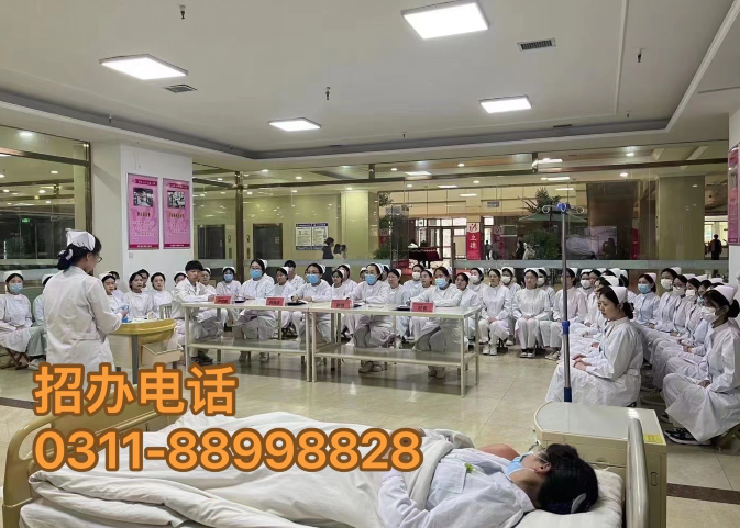 石家莊天使護士學校2024年招生簡章公開，揭示醫護職業新機遇！