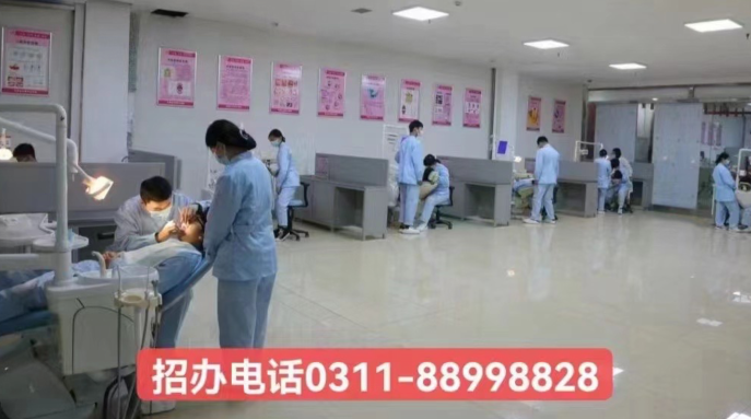 成就牙醫夢想：石家莊天使護士學校2024年春季口腔專業招生簡章詳解
