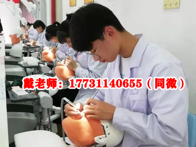 滄州醫學高等?？茖W校招生專業