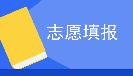 2024河北單招每人可以填報(bào)幾所大專院校