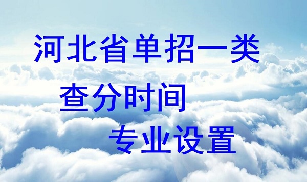 2024年河北省單招一類查分時間及專業