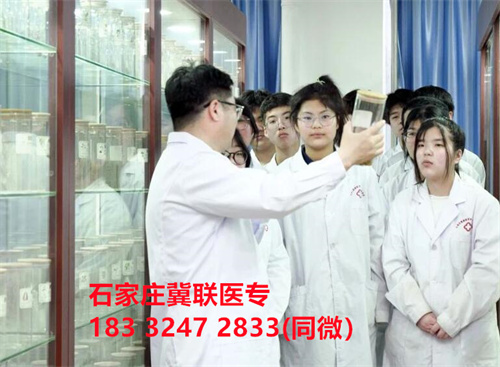 QQ截圖20240405183623.jpg
