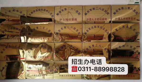 石家莊天使衛校是公辦還是民辦