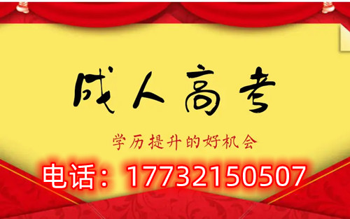 2024年成考建筑類可以報考哪些專業？