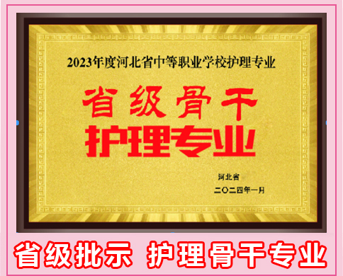 石家莊天使護士學校學生能考大學嗎