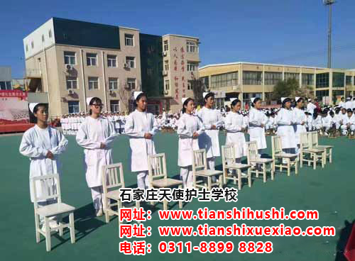 石家莊天使護(hù)士學(xué)校2026年秋招都有哪些專業(yè)