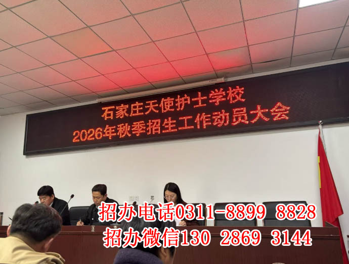 自主招生階段不卡分 名額少 I 石家莊天使護士學校2026年秋季班招生簡章