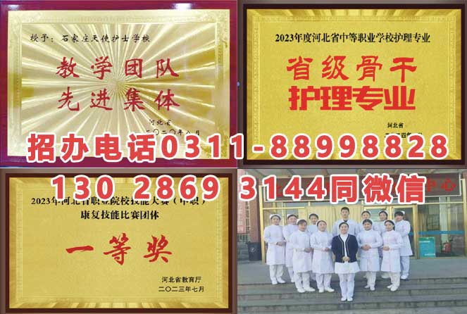 石家莊天使護士學校招生簡章 石家莊天使護士學校2026年秋季招生時間